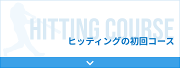 ヒッティングの初回コース